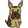 Français Buldog - bouledogue français
