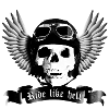 biker_skull_a_sw