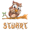 Owl Stuart