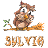 Chouette Sylvia