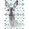Roe