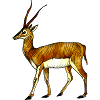Antilope