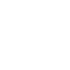 Lewitzer Pferd Geschenk