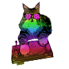 Maine Coon Cat Music