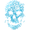 Skull of bones