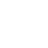 Dirigent