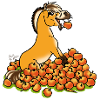 Apple fjord!