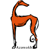 azawakh drawn