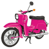 Pink Swallow