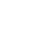lawyer