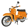 schwalbe in orange