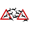 Strong Wildwechsel