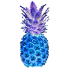ANANAS MOSAIC night