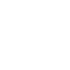 Spinnen, Spinne