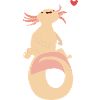 Axolotl
