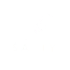 motif SALTY BLANC