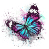 Beautiful Butterfly Watercolour