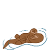 Mom baby otter