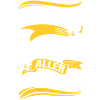 CHEFARZT