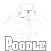 frais POODLE