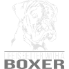 BOXER Life is better