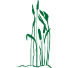 Gras