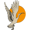 Ibis