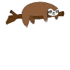 Sloth - Sloth - Branch - Gift - Cozy
