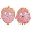 Lychee Love