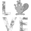 LOVE-castor, animaux, amour, nature