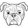 Bulldog Dog OEB EB Bollerhead Gift