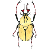 Beetle bright tank red antlers