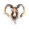 Sternzeichen Widder