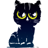 Black Cat 2