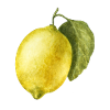 Zitrone