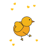 Little chick