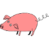 Pig roz3