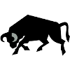 bull_2