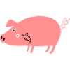 Schwein roz4