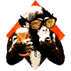 funny beer chimpanzee