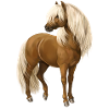 Pony Hengst