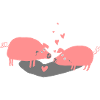 pig roz2