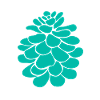 green pine cone
