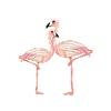 Flamingo couple comic