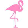 flamingo