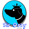 Sir Ozzy clothing