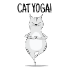 Yoga Cat!