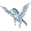 Flying Pegasus