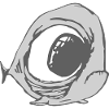 FISCH.