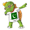 Pakistan Dabbing turtle